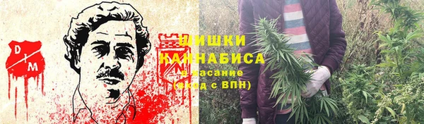 прущие грибы Навашино